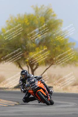 media/Apr-12-2025-Race Pace (Sat) [[9230add55f]]/Vested/6-Turn 4 Tree of Life (115pm)/